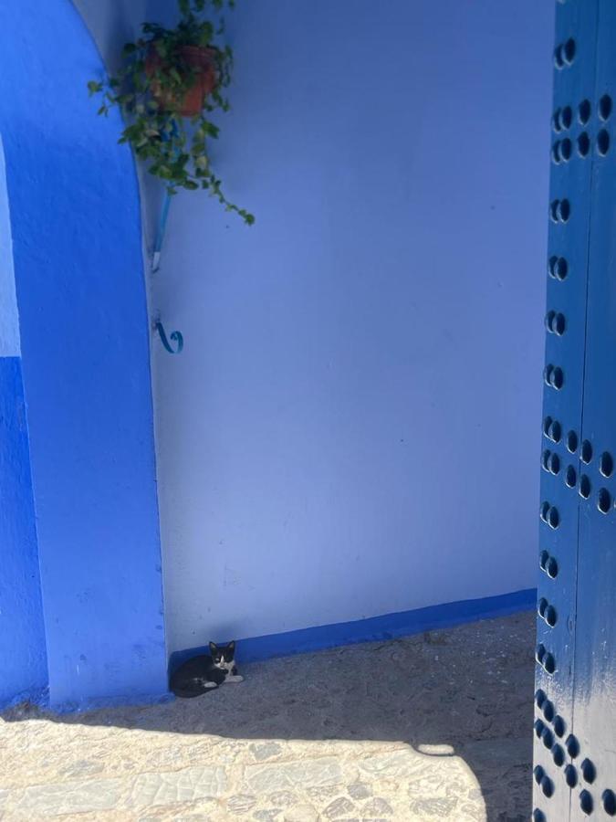 Coco Chawen Βίλα Chefchaouen Εξωτερικό φωτογραφία